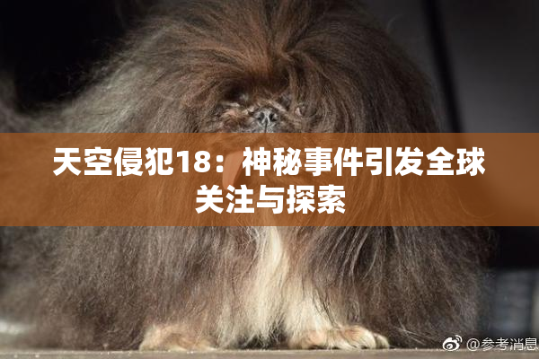 天空侵犯18：神秘事件引发全球关注与探索