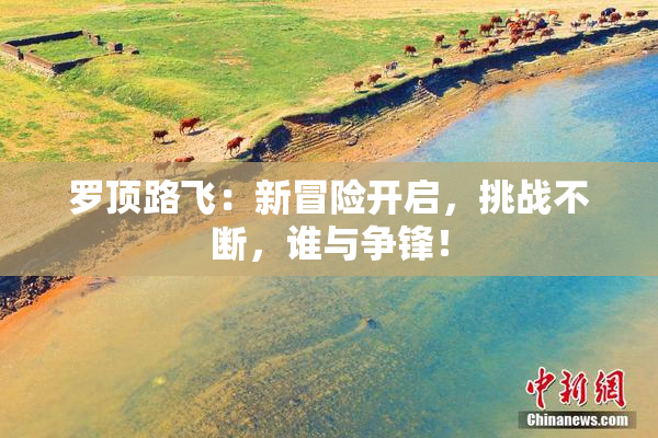罗顶路飞：新冒险开启，挑战不断，谁与争锋！