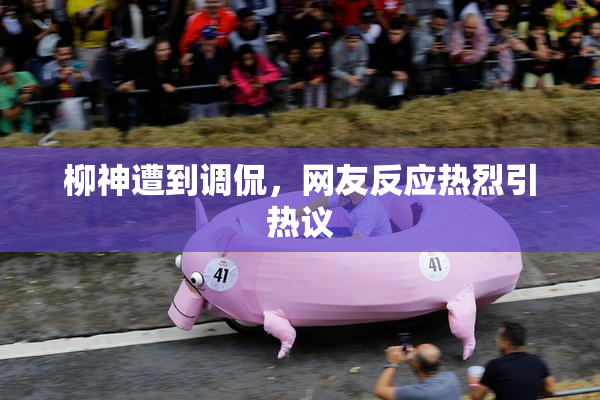 柳神遭到调侃，网友反应热烈引热议