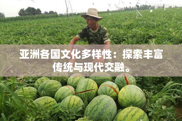 亚洲各国文化多样性：探索丰富传统与现代交融。