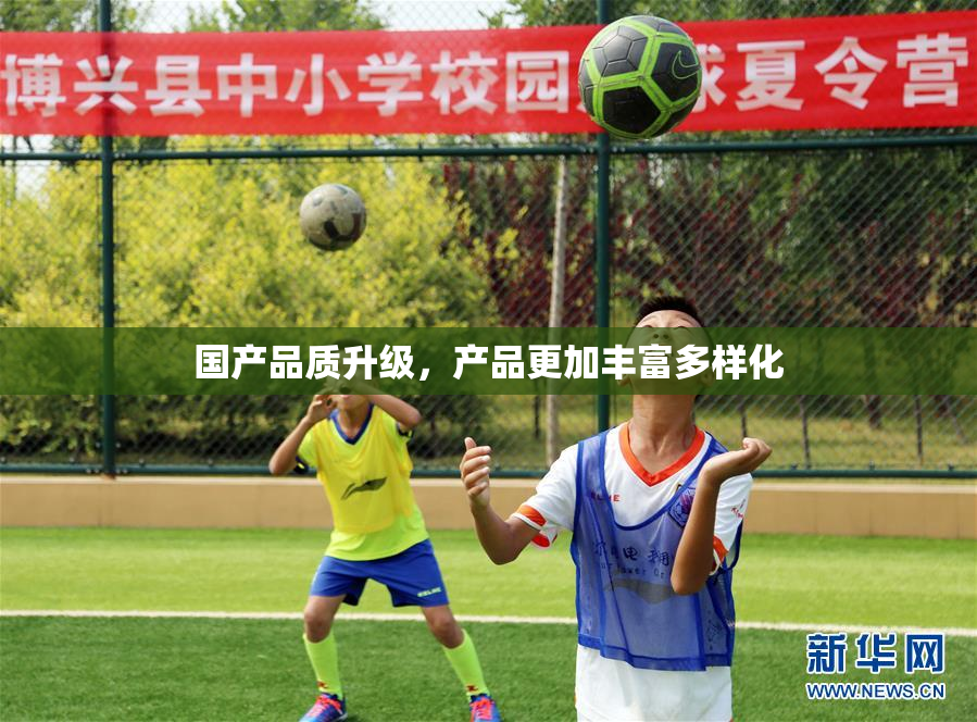 国产品质升级，产品更加丰富多样化