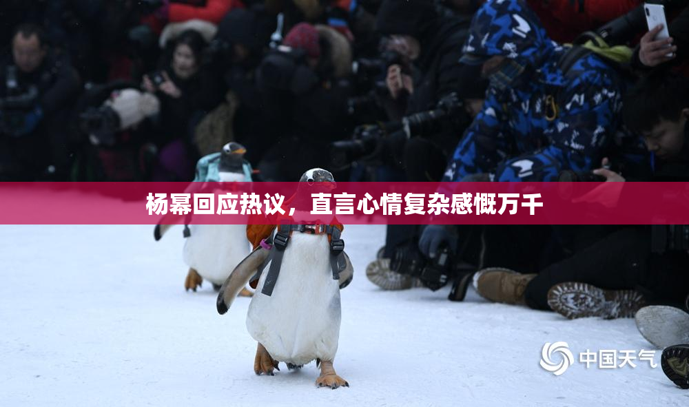杨幂回应热议，直言心情复杂感慨万千