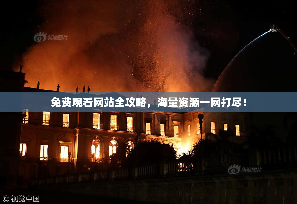 免费观看网站全攻略，海量资源一网打尽！
