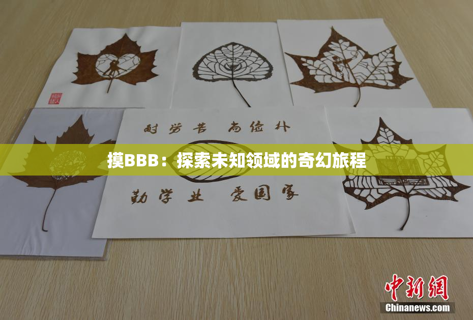 摸BBB：探索未知领域的奇幻旅程