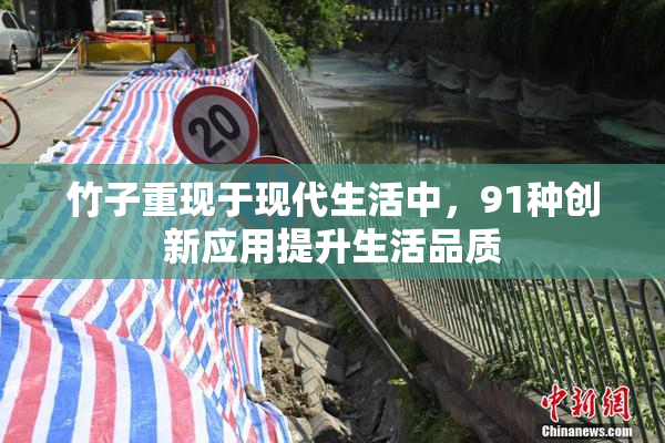 竹子重现于现代生活中，91种创新应用提升生活品质