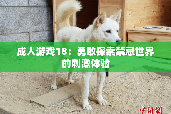 成人游戏18：勇敢探索禁忌世界的刺激体验