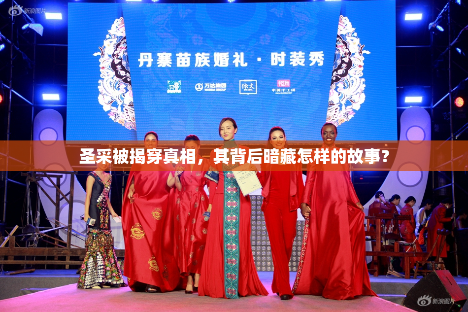 圣采被揭穿真相，其背后暗藏怎样的故事？