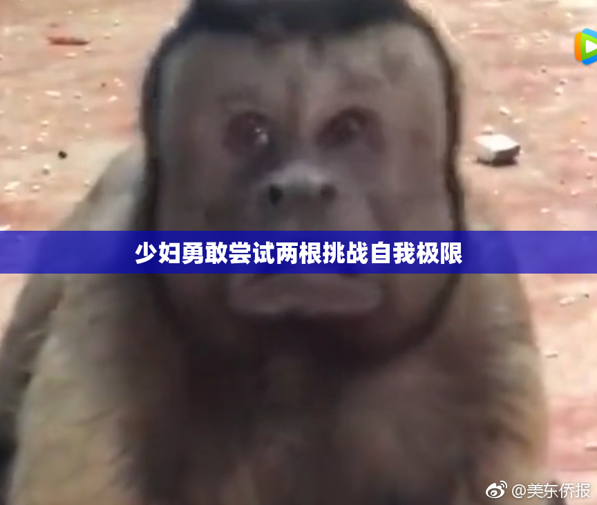 少妇勇敢尝试两根挑战自我极限
