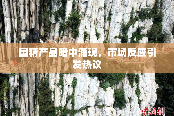 国精产品暗中涌现，市场反应引发热议