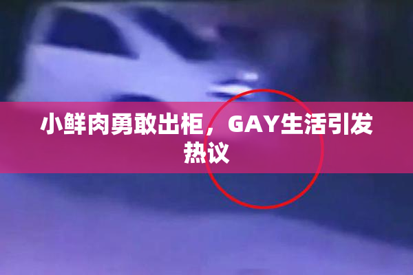 小鲜肉勇敢出柜，GAY生活引发热议