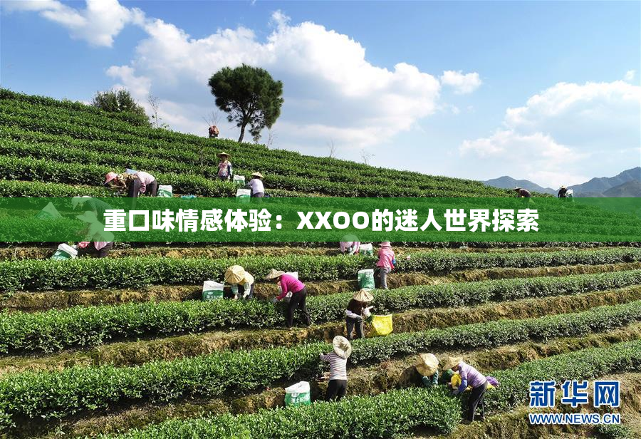 重口味情感体验：XXOO的迷人世界探索