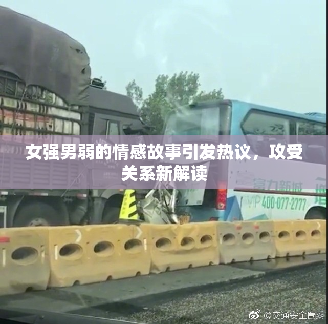 女强男弱的情感故事引发热议，攻受关系新解读