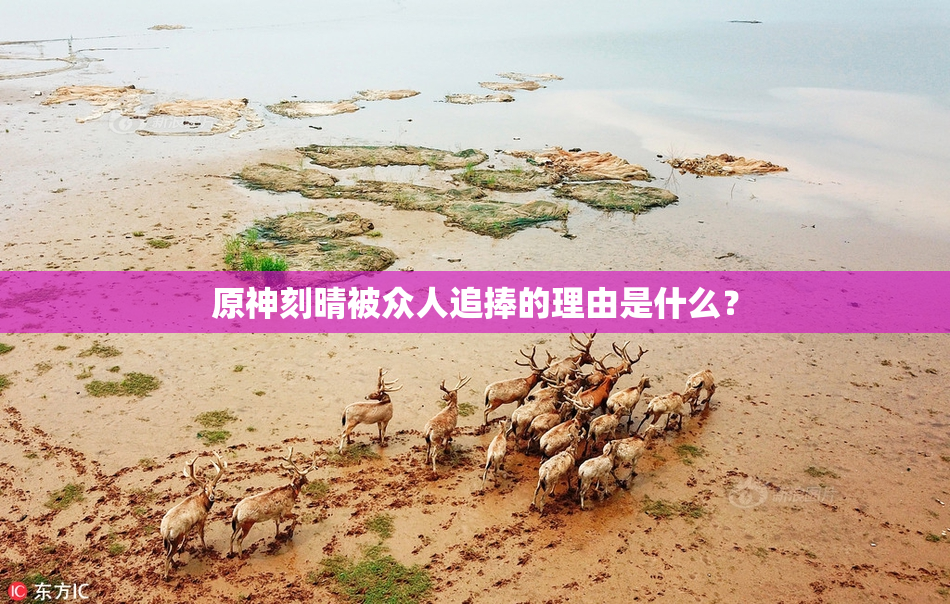 原神刻晴被众人追捧的理由是什么？