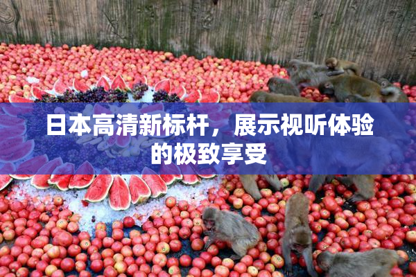 日本高清新标杆，展示视听体验的极致享受