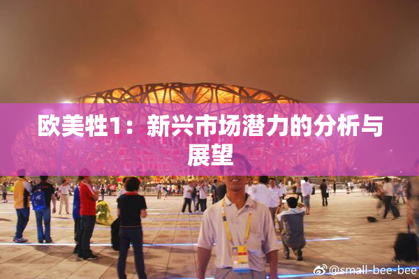 欧美牲1：新兴市场潜力的分析与展望