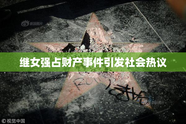 继女强占财产事件引发社会热议