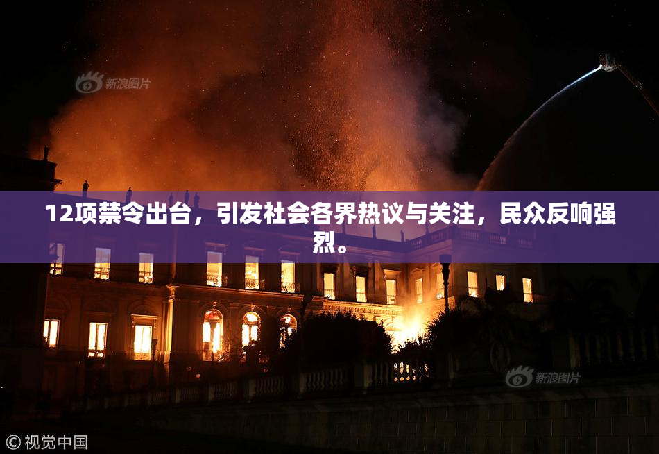 12项禁令出台，引发社会各界热议与关注，民众反响强烈。