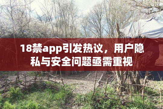 18禁app引发热议，用户隐私与安全问题亟需重视