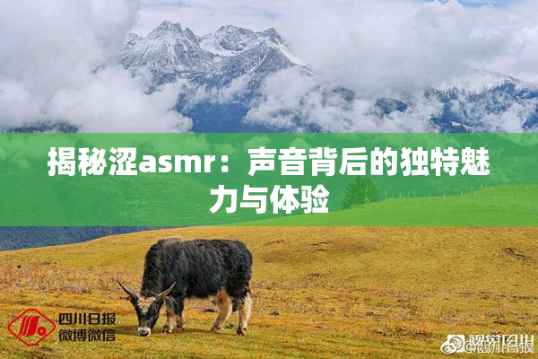 揭秘涩asmr：声音背后的独特魅力与体验