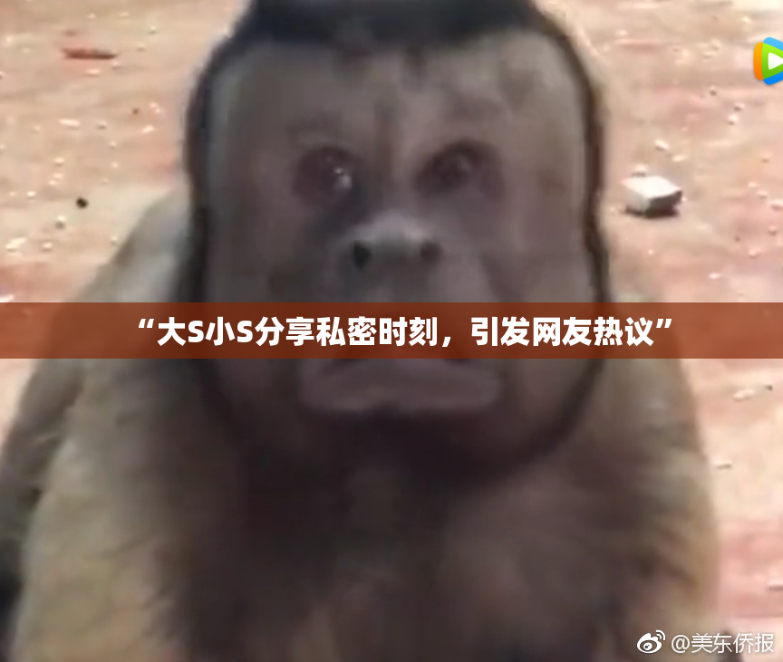 “大S小S分享私密时刻，引发网友热议”
