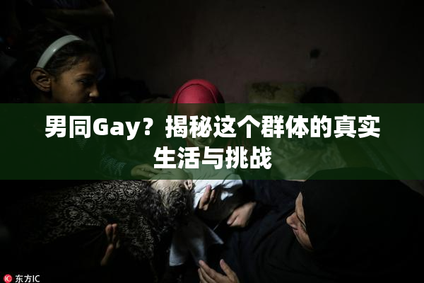 男同Gay？揭秘这个群体的真实生活与挑战