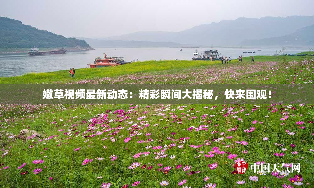 嫩草视频最新动态：精彩瞬间大揭秘，快来围观！