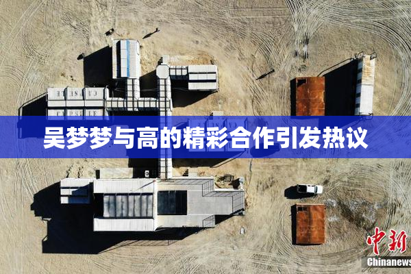 吴梦梦与高的精彩合作引发热议