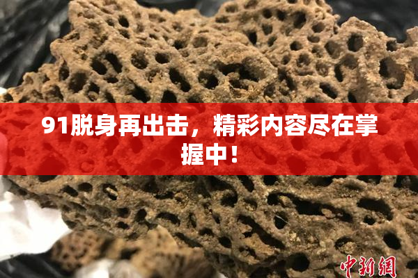 91脱身再出击，精彩内容尽在掌握中！