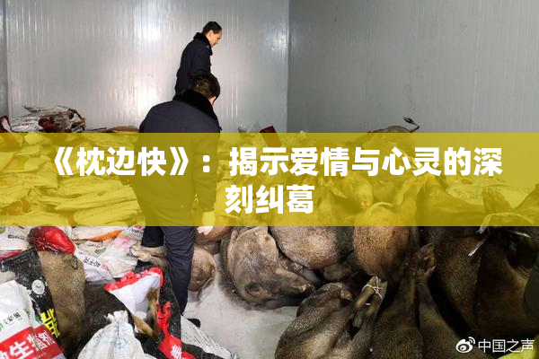 《枕边快》：揭示爱情与心灵的深刻纠葛