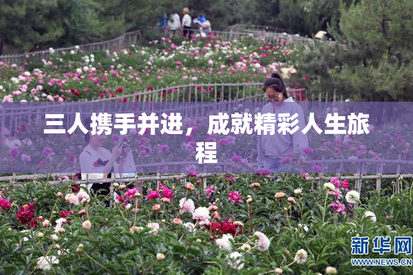 三人携手并进，成就精彩人生旅程