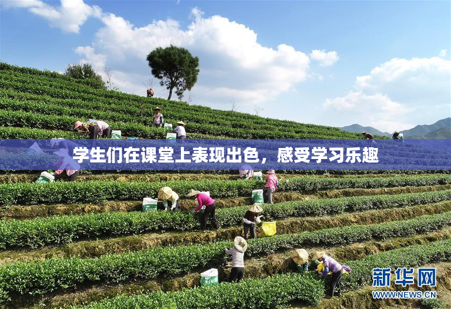学生们在课堂上表现出色，感受学习乐趣