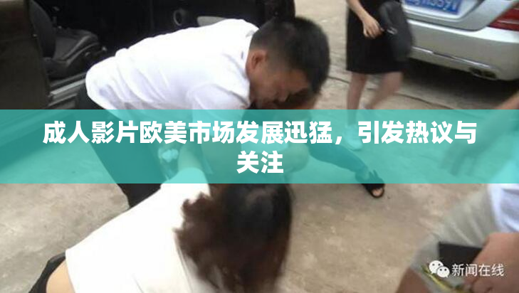 成人影片欧美市场发展迅猛，引发热议与关注