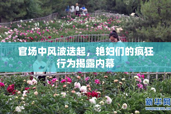 官场中风波迭起，艳妇们的疯狂行为揭露内幕