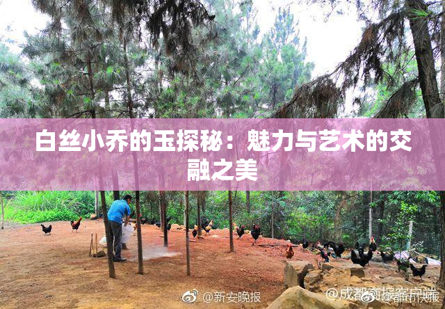 白丝小乔的玉探秘：魅力与艺术的交融之美