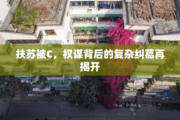 扶苏被C，权谋背后的复杂纠葛再揭开