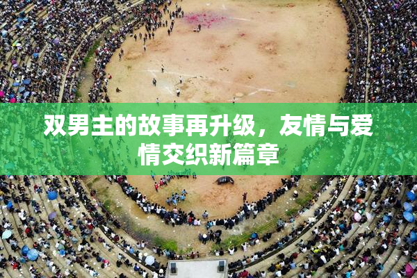 双男主的故事再升级，友情与爱情交织新篇章