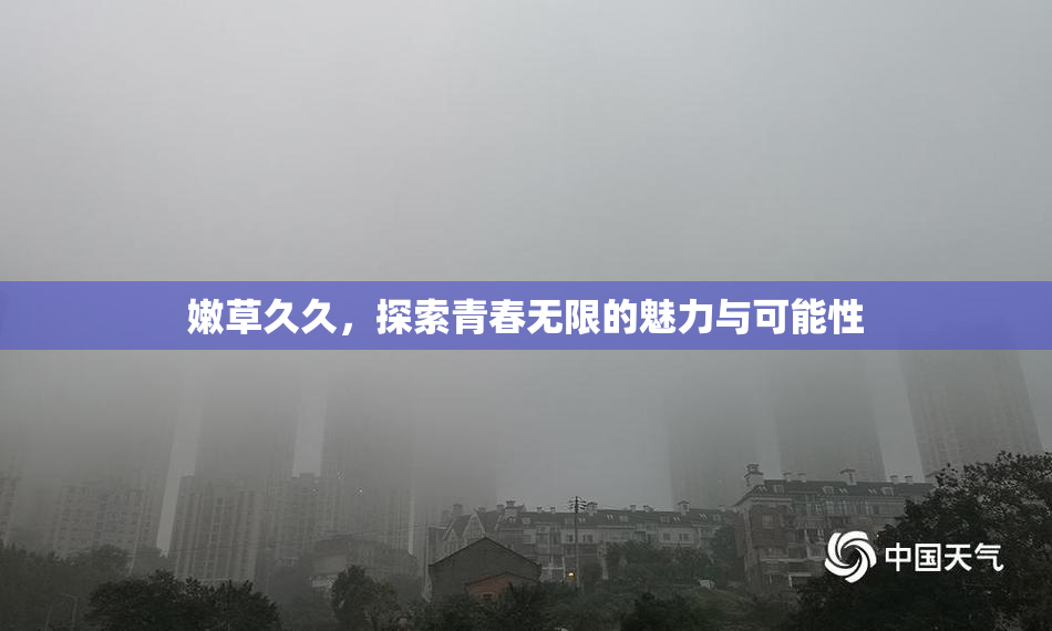 嫩草久久，探索青春无限的魅力与可能性