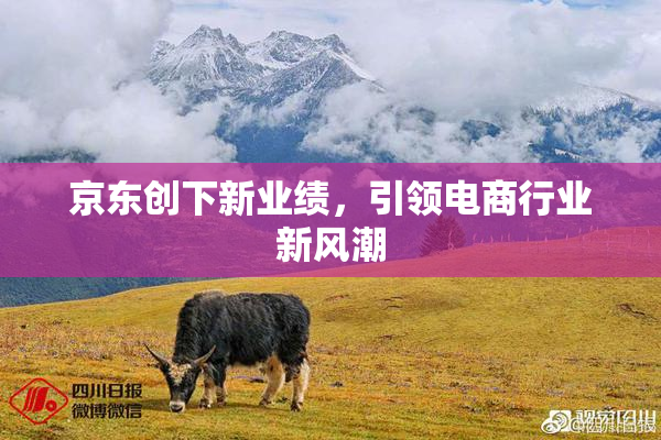 京东创下新业绩，引领电商行业新风潮
