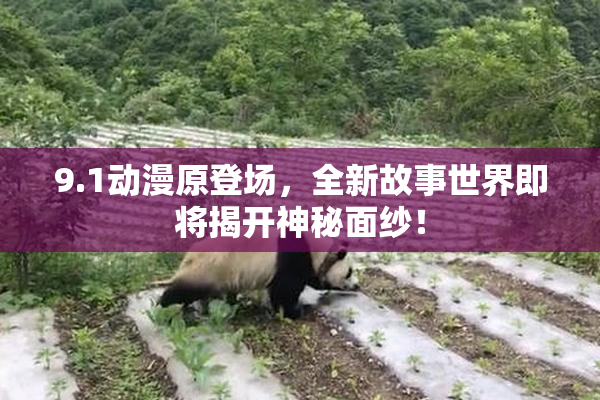 9.1动漫原登场，全新故事世界即将揭开神秘面纱！