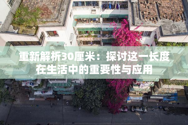 重新解析30厘米：探讨这一长度在生活中的重要性与应用