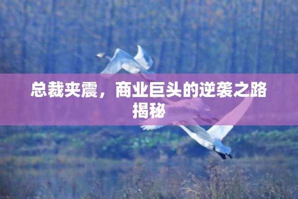 总裁夹震，商业巨头的逆袭之路揭秘