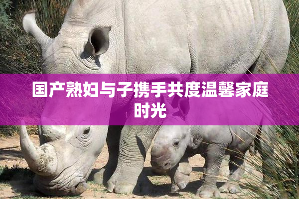 国产熟妇与子携手共度温馨家庭时光