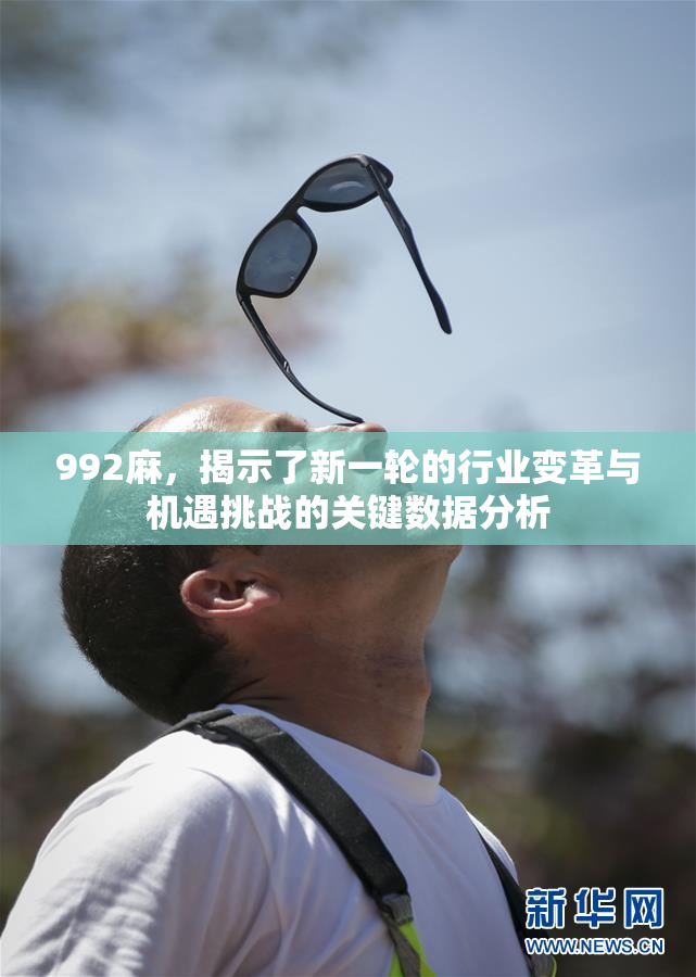 992麻，揭示了新一轮的行业变革与机遇挑战的关键数据分析