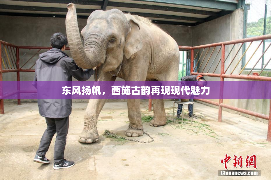 东风扬帆，西施古韵再现现代魅力