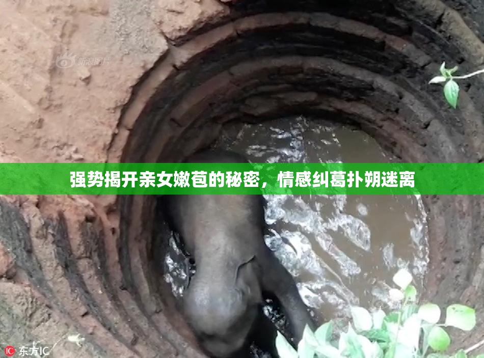 强势揭开亲女嫩苞的秘密，情感纠葛扑朔迷离