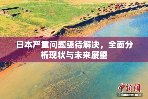 日本严重问题亟待解决，全面分析现状与未来展望