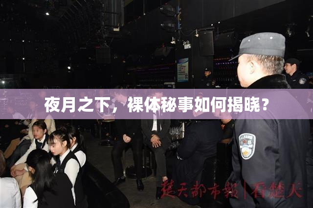 夜月之下，裸体秘事如何揭晓？