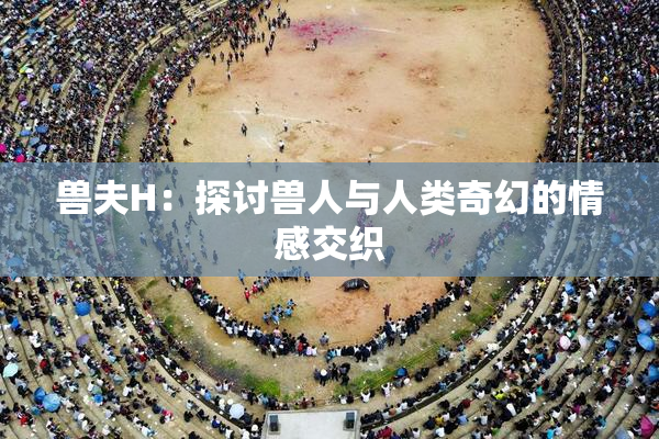 兽夫H：探讨兽人与人类奇幻的情感交织