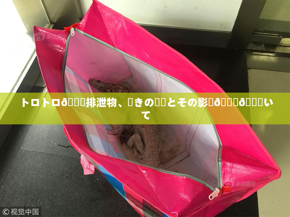 トロトロ🍑排泄物、驚きの発見とその影響🎆😚いて