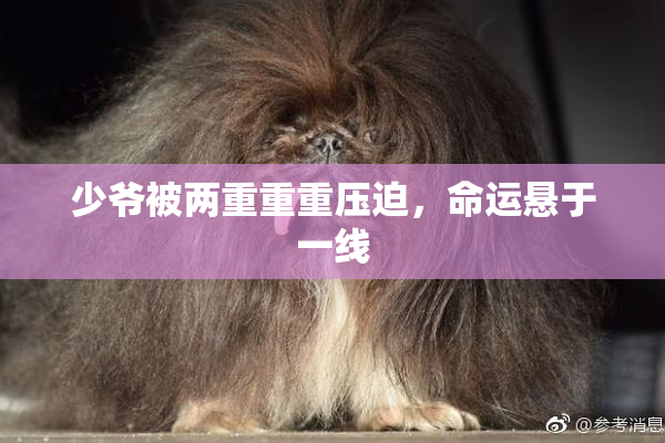 少爷被两重重重压迫，命运悬于一线